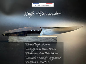 Kitchen Knife Chef Universal "Barracuda", Steel D2, Limited Edition, made in France!