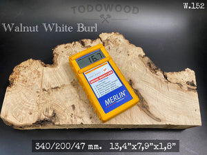 WALNUT BURL Wood Very Rare, Blank for Woodworking, Turning. #W.152