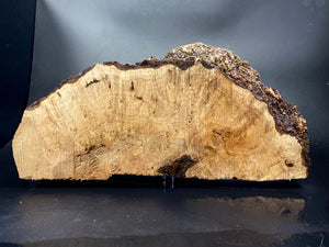 LOUPE DE NOYER Bois Très Rare, Blanc pour le travail du bois, tournage. #10.W.55