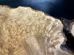 LOUPE DE NOYER Bois Très Rare, Blanc pour le travail du bois, tournage. #10.W.55