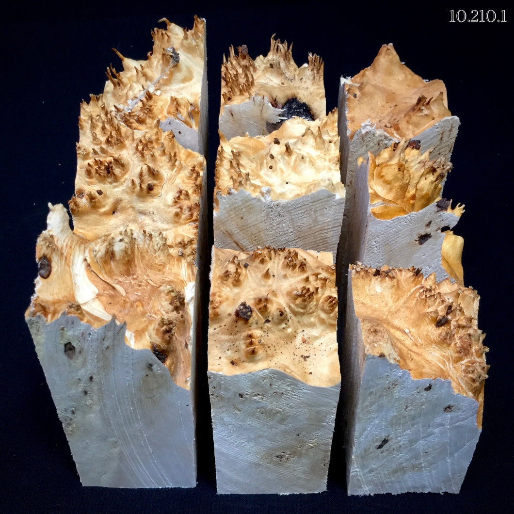 MAPLE BURL, Wood Hybrid Blocks for Stabilized and Epoxy Resin. DIY. France Stock. 2