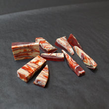 Laden Sie das Bild in den Galerie-Viewer, Stabilized Mammoth Molar Tooth - Set Small Blanks for craft supplies, DIY. Art T396
