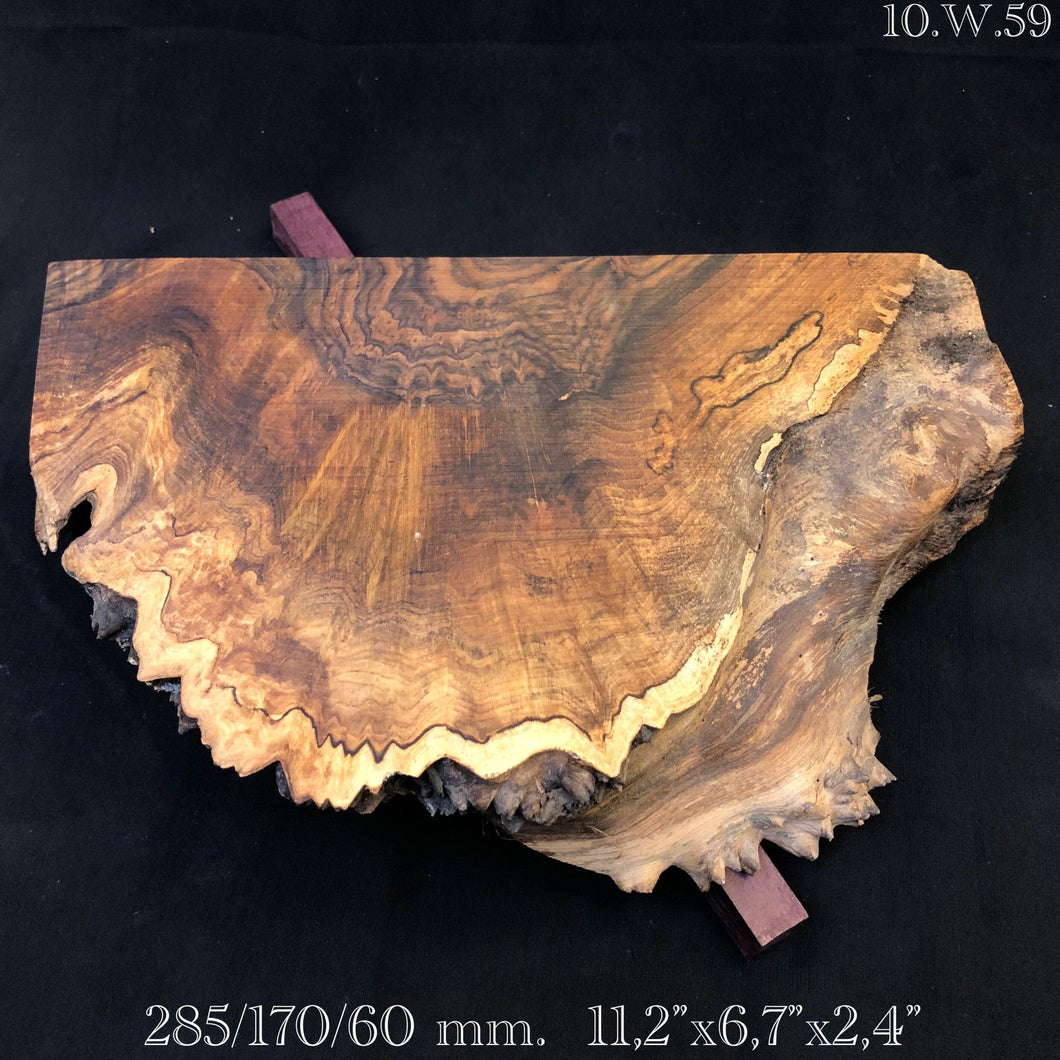 WALNUT BURL Wood Very Rare, Blank for Woodworking. France Stock. #10.W.59.8