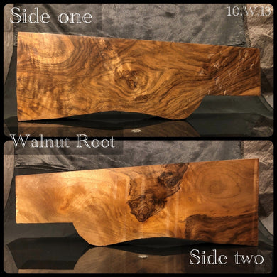WALNUT ROOT from FRANCE, 19