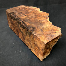 Load image into Gallery viewer, WALNUT BURL Wood Very Rare, Blank for Woodworking. France Stock. #10.W.61