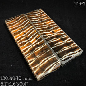 Stabilized Mammoth Molar Tooth Mirror Billets for craft supplies, DIY. #T387