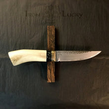 Cargar imagen en el visor de la galería, Knife Hunting, San Mai Steel, Fixed Blade, Straight Back Knife Blade. Art 14.321 - IRON LUCKY